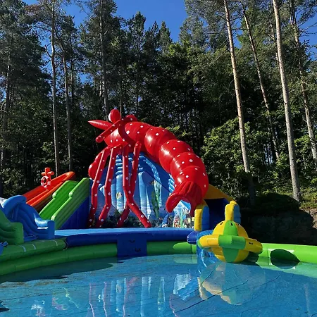 Pomaranczowy Na Gwizdowce Zalakowo
